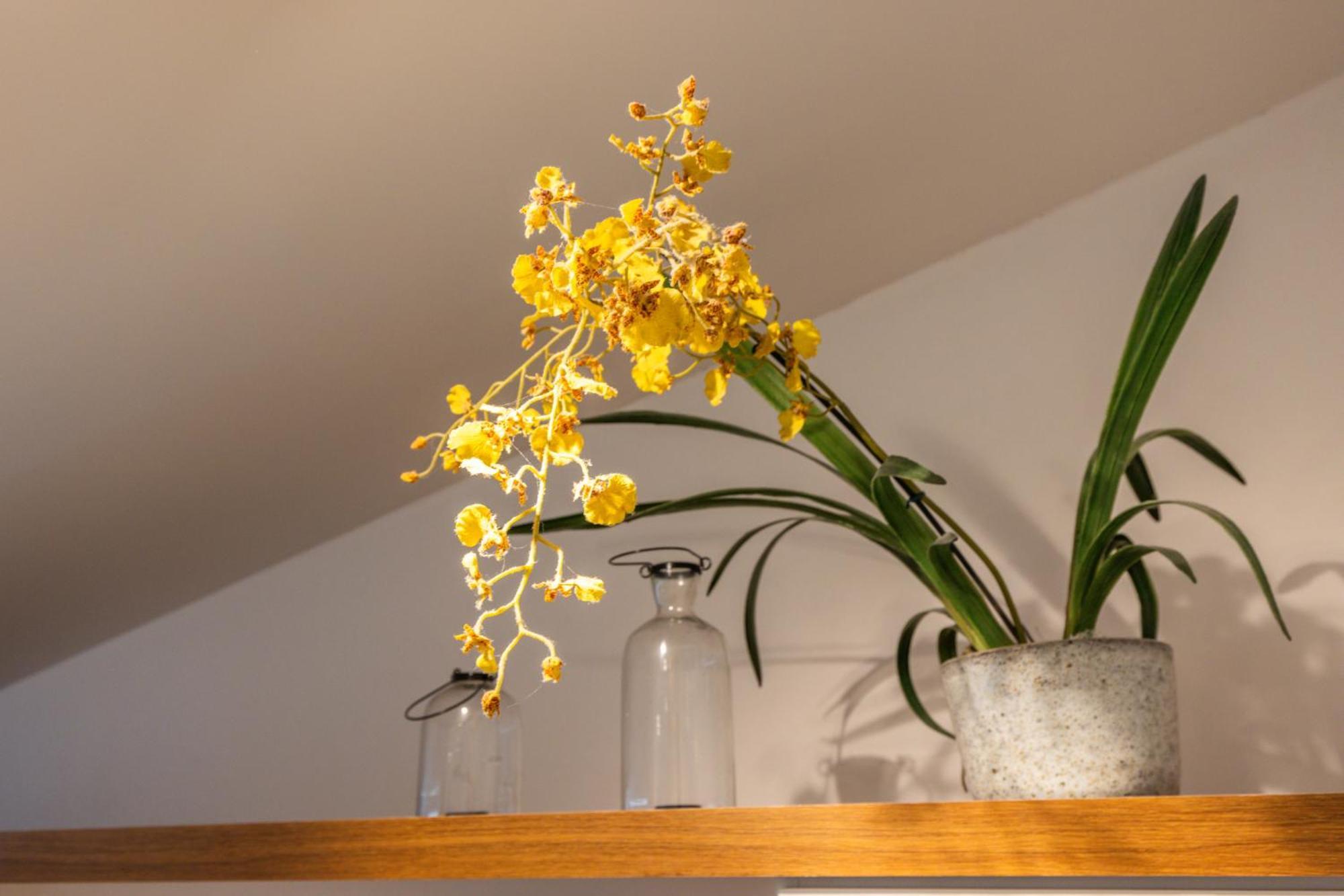 Studio's Monsieur Leblon Apartment *